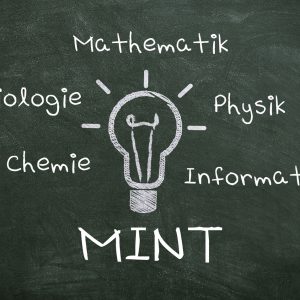 Rezertifizierung zur „MINT-freundlichen Schule“