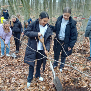 Siebtklässler pflanzen 300 Bäume